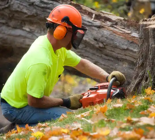 tree services Fleming-Neon